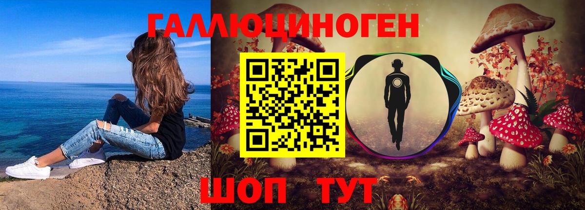 Димитровград  Галлюциногенные грибы Cubensis  что такое   Вход с VPN 